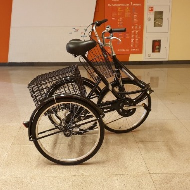 Трехколесный велосипед для взрослого трицикл трайк взрослый