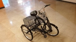 Трехколесный велосипед для взрослых трицикл трайк байк
